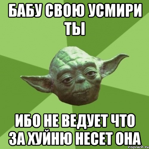 бабу свою усмири ты ибо не ведует что за хуйню несет она, Мем Мастер Йода