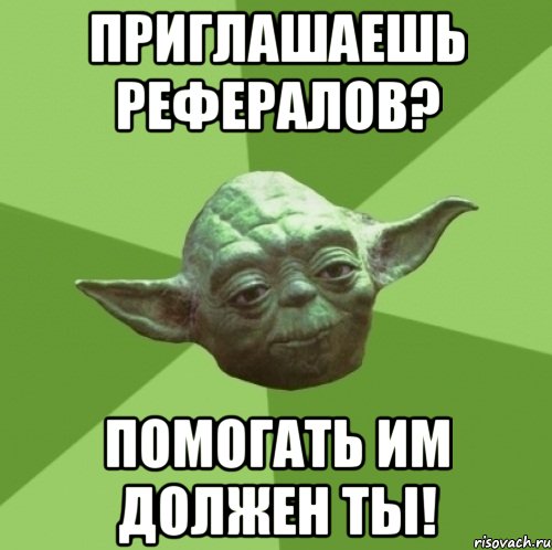 Приглашаешь рефералов? Помогать им должен ты!, Мем Мастер Йода