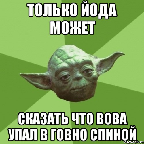 Только Йода может Сказать что Вова упал в говно спиной, Мем Мастер Йода