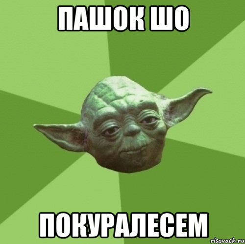 пашок шо покуралесем, Мем Мастер Йода
