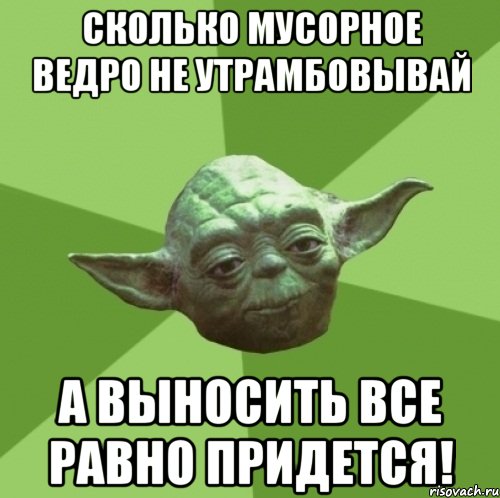 Сколько мусорное ведро не утрамбовывай а выносить все равно придется!, Мем Мастер Йода