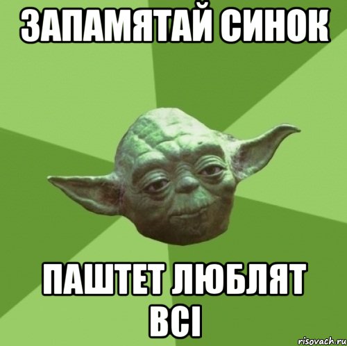 Запамятай синок Паштет люблят всі, Мем Мастер Йода