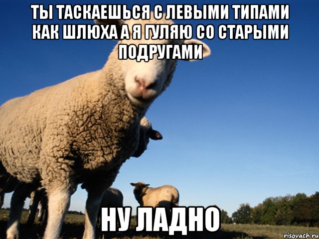 ты таскаешься с левыми типами как шлюха а я гуляю со старыми подругами ну ладно