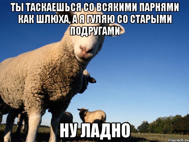 Ты таскаешься со всякими парнями как шлюха, а я гуляю со старыми подругами ну ладно