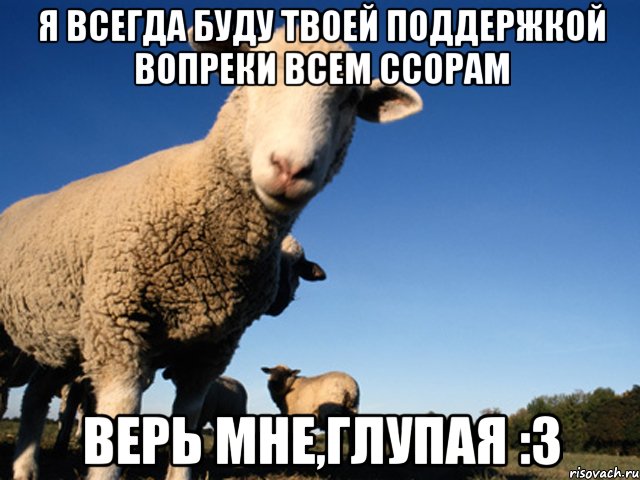 я всегда буду твоей поддержкой вопреки всем ссорам верь мне,глупая :3