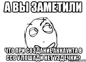 А вы заметили что при создание аккаунта в ссо у лошади нет уздечки?, Мем Мне кажется или