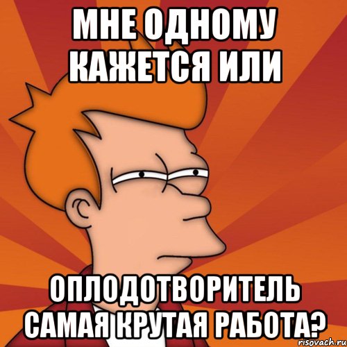 Мне одному кажется или оплодотворитель самая крутая работа?, Мем Мне кажется или (Фрай Футурама)