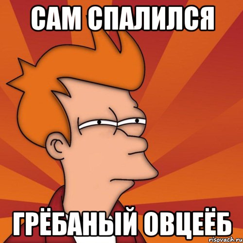 сам спалился грёбаный овцеёб, Мем Мне кажется или (Фрай Футурама)