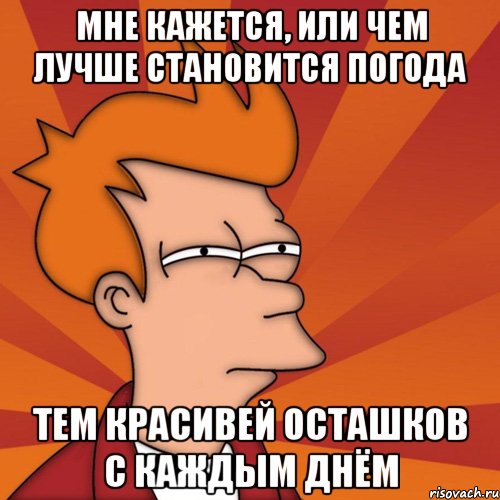 Мне кажется, или чем лучше становится погода тем красивей Осташков с каждым днём, Мем Мне кажется или (Фрай Футурама)