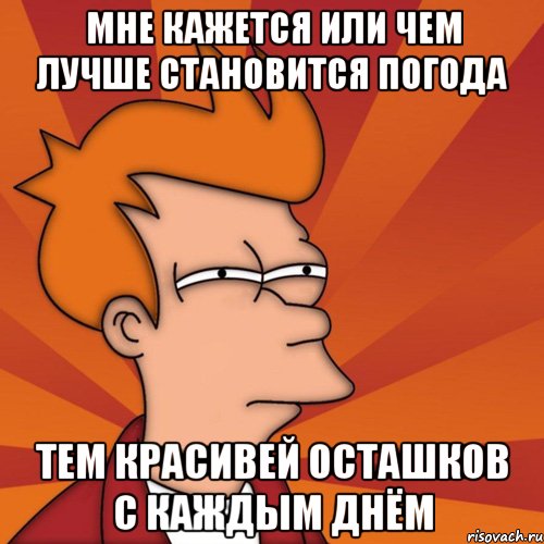 Мне кажется или чем лучше становится погода тем красивей Осташков с каждым днём, Мем Мне кажется или (Фрай Футурама)