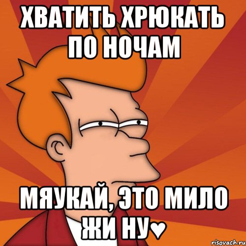 Хватить хрюкать по ночам Мяукай, это мило жи ну♥, Мем Мне кажется или (Фрай Футурама)