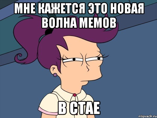Мне кажется это новая волна мемов в стае, Мем Мне кажется или (с Лилой)