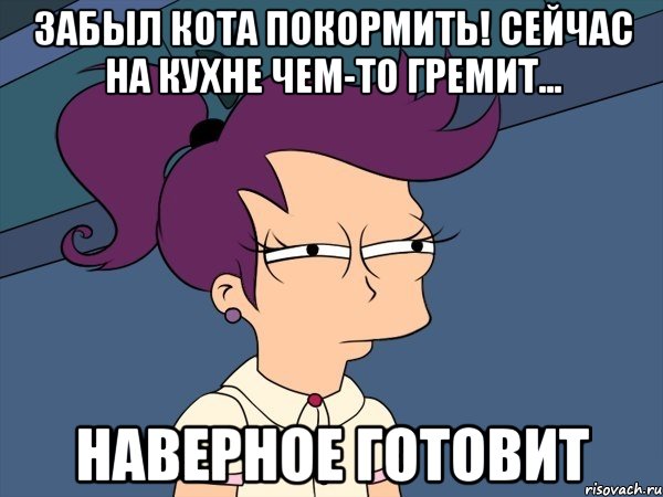 Забыл кота покормить! Сейчас на кухне чем-то гремит... Наверное готовит, Мем Мне кажется или (с Лилой)