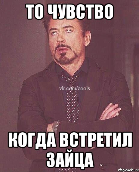 то чувство когда встретил зайца
