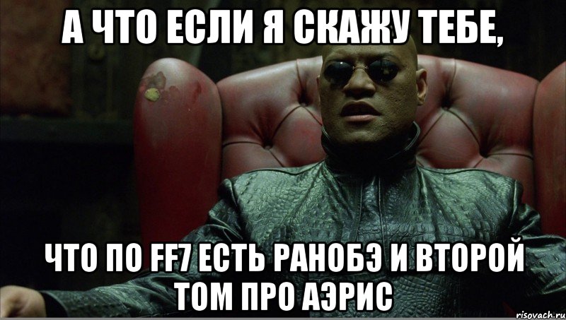 А что если я скажу тебе, что по FF7 есть ранобэ и второй том про Аэрис