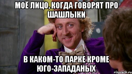 моё лицо, когда говорят про шашлыки в каком-то парке кроме юго-западаных, Мем Ну давай расскажи (Вилли Вонка)