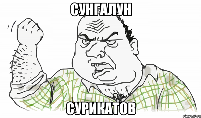 Сунгалун Сурикатов, Мем Будь мужиком