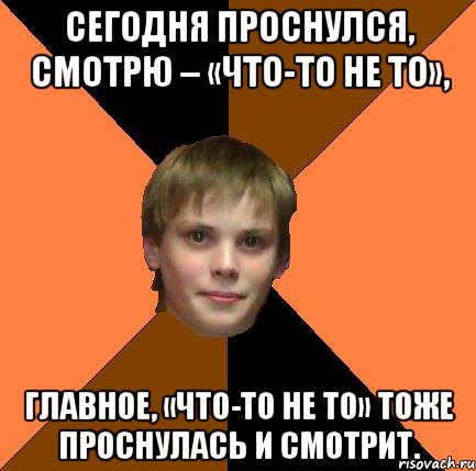 Сегодня проснулся, смотрю – «что-то не то», главное, «что-то не то» тоже проснулась и смотрит.