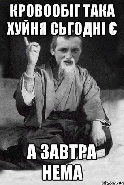 Кровообіг така хуйня сьгодні є а завтра нема, Мем Мудрий паца