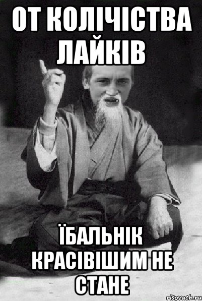 от колічіства лайків їбальнік красівішим не стане, Мем Мудрий паца