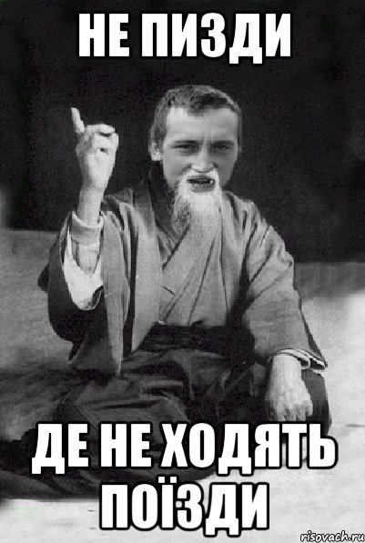 НЕ ПИЗДИ ДЕ НЕ ХОДЯТЬ ПОЇЗДИ, Мем Мудрий паца