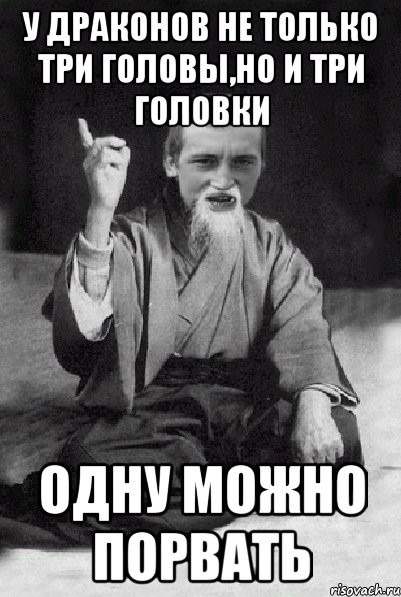 у драконов не только три головы,но и три ГОЛОВКИ одну можно порвать, Мем Мудрий паца