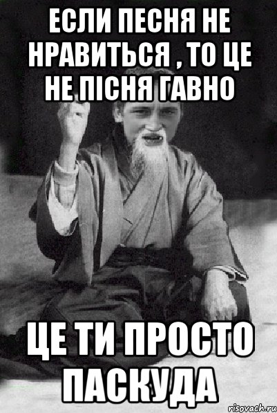 Если песня не нравиться , то це не пісня гавно Це ти просто паскуда, Мем Мудрий паца