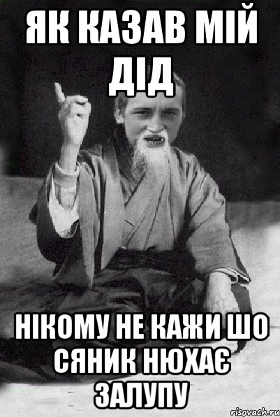 як казав мій дід нікому не кажи шо сяник нюхає залупу, Мем Мудрий паца