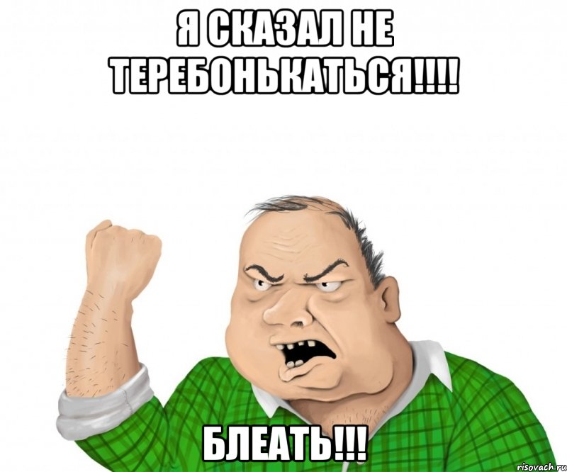 Я сказал не теребонькаться!!!! Блеать!!!, Мем мужик