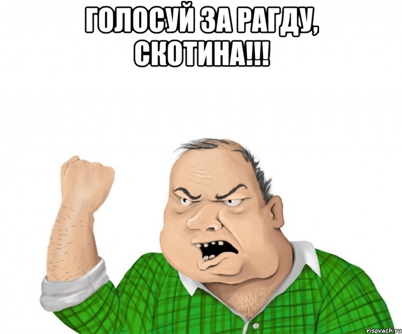 Голосуй за Рагду, скотина!!! , Мем мужик