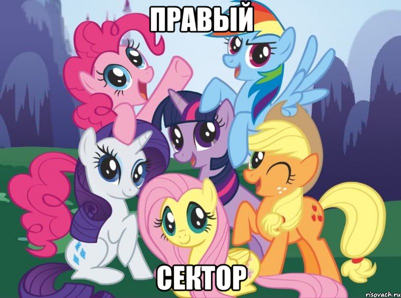 ПРАВЫЙ СЕКТОР, Мем My little pony