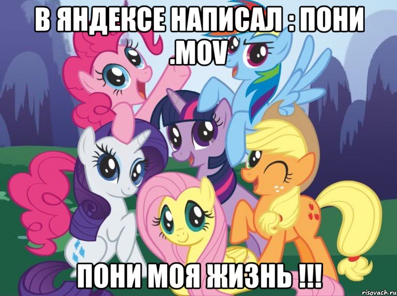 В яндексе написал : пони .mov Пони моя жизнь !!!, Мем My little pony