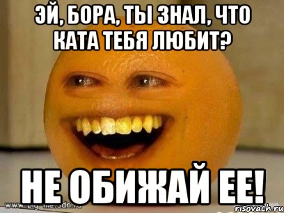 Эй, Бора, ты знал, что КатА тебя любит? Не обижай ее!, Мем Надоедливый апельсин