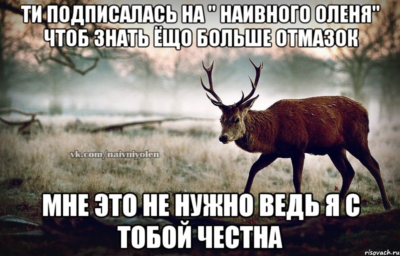 Ти подписалась на " Наивного оленя" чтоб знать ёщо больше отмазок Мне это не нужно ведь я с тобой честна, Мем naivehole