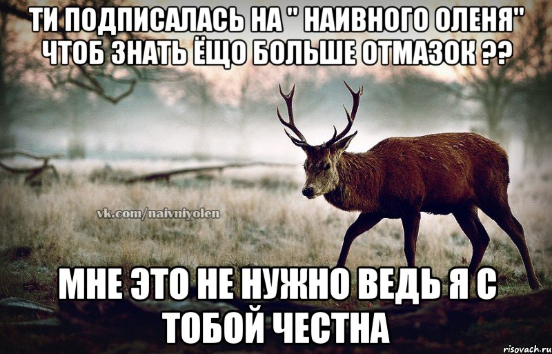 Ти подписалась на " Наивного оленя" чтоб знать ёщо больше отмазок ?? Мне это не нужно ведь я с тобой честна, Мем naivehole