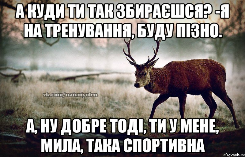 А куди ти так збираєшся? -Я на тренування, буду пізно. А, ну добре тоді, ти у мене, мила, така спортивна, Мем naivehole