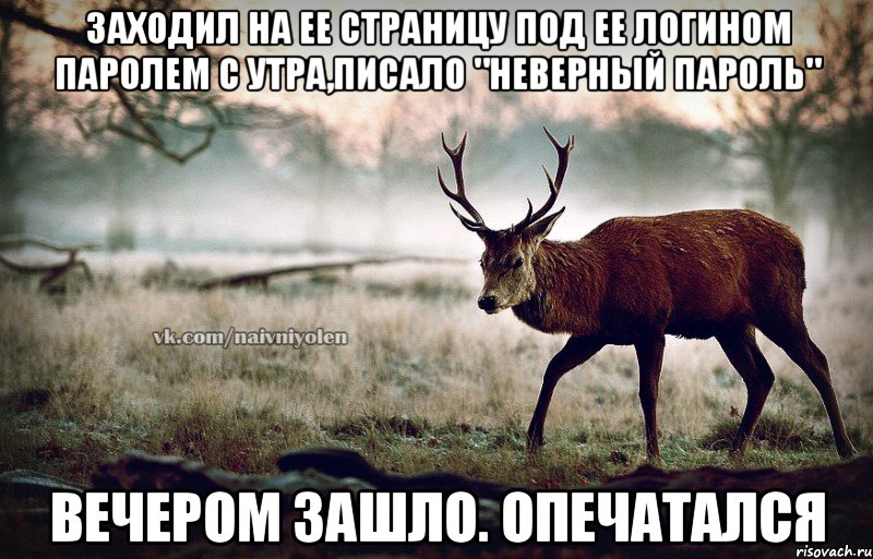 Заходил на ее страницу под ее логином паролем с утра,писало "неверный пароль" Вечером зашло. Опечатался