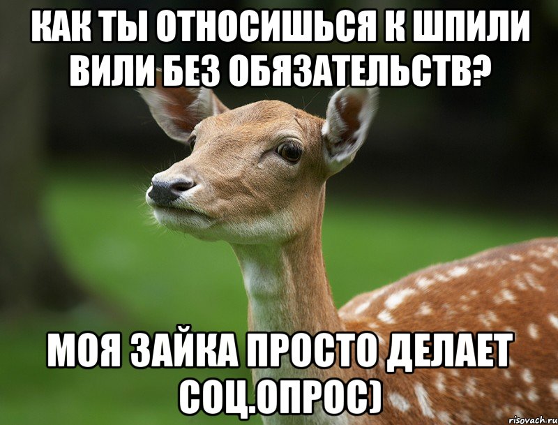 Как ты относишься к шпили вили без обязательств? моя зайка просто делает соц.опрос)