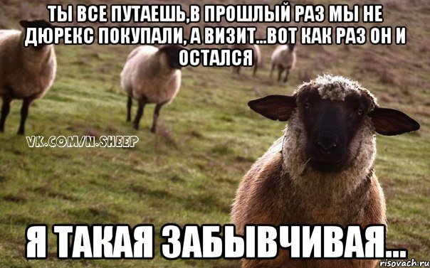 Ты все путаешь,в прошлый раз мы не дюрекс покупали, а визит...вот как раз он и остался Я такая забывчивая..., Мем  Наивная Овца