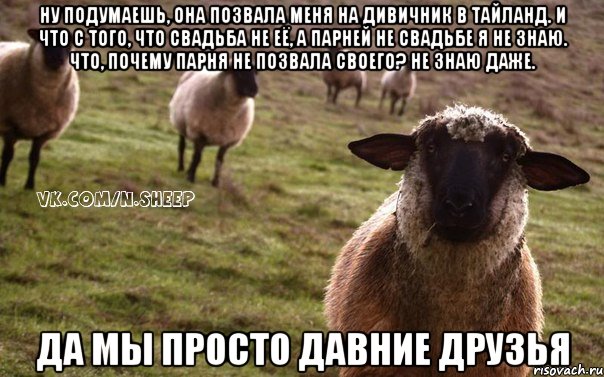 Ну подумаешь, она позвала меня на дивичник в Тайланд. И что с того, что свадьба не её, а парней не свадьбе я не знаю. Что, почему парня не позвала своего? не знаю даже. Да мы просто давние друзья, Мем  Наивная Овца