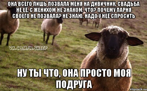 Она всего лишь позвала меня на дивичник. Свадьба не её, с женихом не знаком. Что? почему парня своего не позвала? не знаю, надо у неё спросить Ну ты что, она просто моя подруга, Мем  Наивная Овца