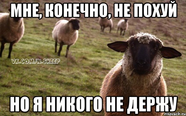 мне, конечно, не похуй но я никого не держу, Мем  Наивная Овца