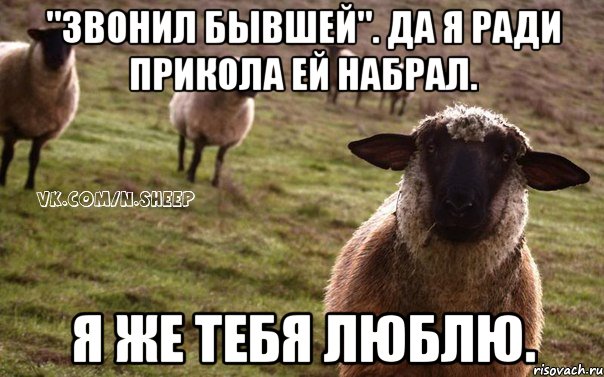 "Звонил бывшей". Да я ради прикола ей набрал. Я же тебя люблю., Мем  Наивная Овца