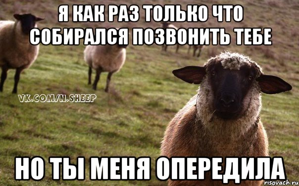 Я КАК РАЗ ТОЛЬКО ЧТО СОБИРАЛСЯ ПОЗВОНИТЬ ТЕБЕ НО ТЫ МЕНЯ ОПЕРЕДИЛА, Мем  Наивная Овца