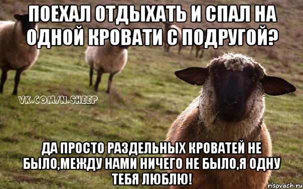 Поехал отдыхать и спал на одной кровати с подругой? Да просто раздельных кроватей не было,между нами ничего не было,я одну тебя люблю!, Мем  Наивная Овца