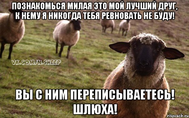 Познакомься милая это мой лучший друг, к нему я никогда тебя ревновать не буду! Вы с ним переписываетесь! Шлюха!, Мем  Наивная Овца