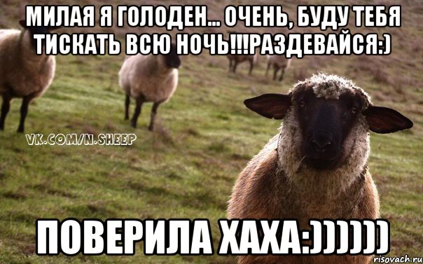 Милая я голоден... Очень, буду тебя тискать всю ночь!!!раздевайся:) Поверила хаха:)))))), Мем  Наивная Овца