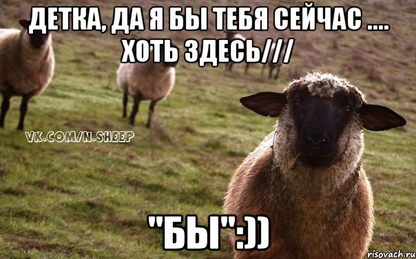 Детка, Да я бы тебя сейчас .... Хоть здесь/// "БЫ":)), Мем  Наивная Овца