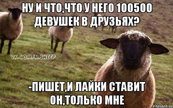 ну и что,что у него 100500 девушек в друзьях? -Пишет,и лайки ставит он,только мне, Мем  Наивная Овца