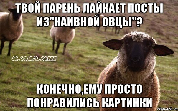 твой парень лайкает посты из"наивной овцы"? конечно,ему просто понравились картинки, Мем  Наивная Овца